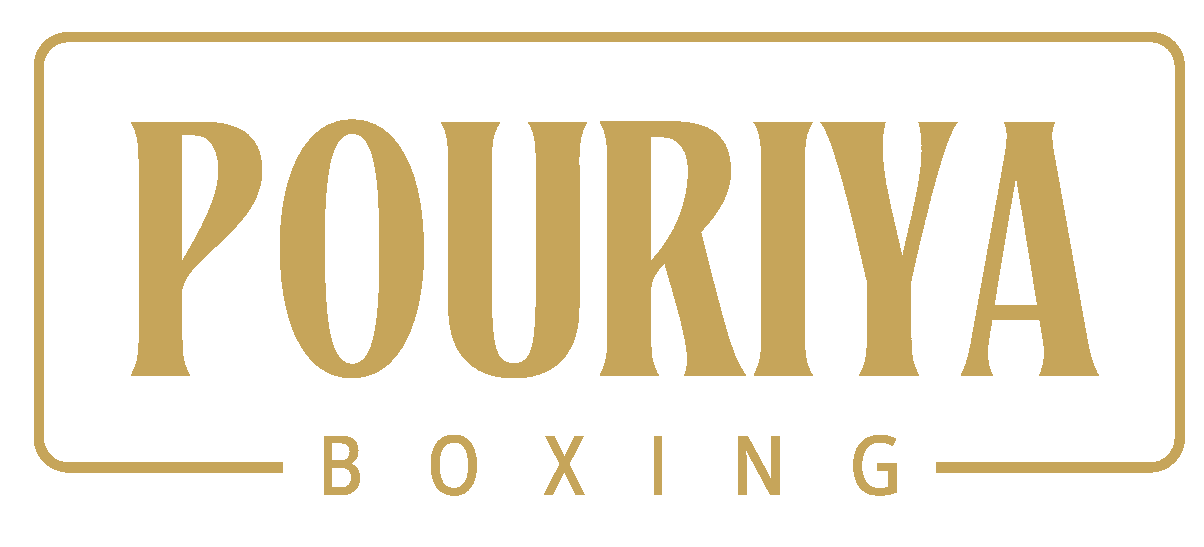 Pouriya Boxing